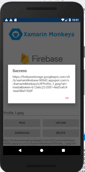 Xamarin.Forms - Working With Firebase Storage CRUD Operations