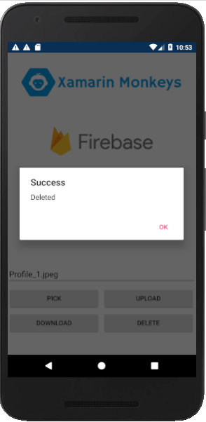 Xamarin.Forms - Working With Firebase Storage CRUD Operations