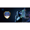 badge image